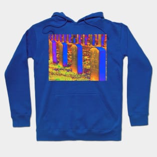 The Ultimate Sacrifice Hoodie